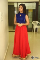 Arthana Binu at Seethamma Andaalu Raamayya Sithraalu Platinum Disc Function